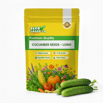 Cucumber Seeds – Long