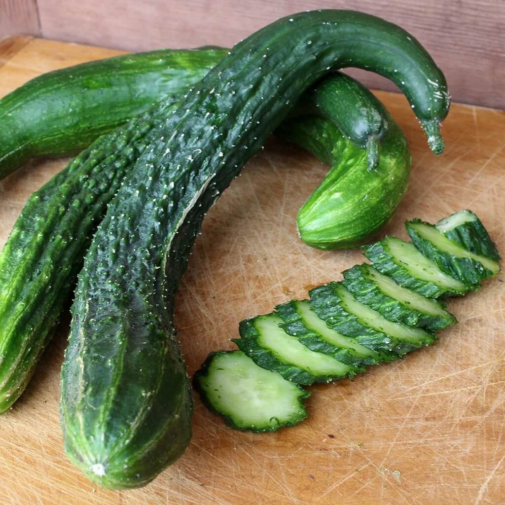 Cucumber Seeds – Long Greek