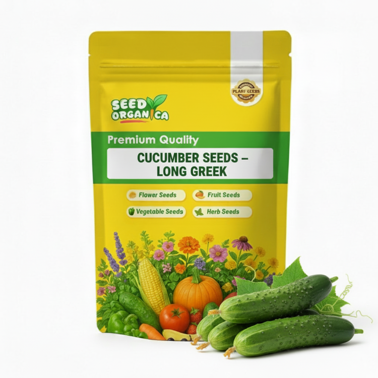 Cucumber Seeds – Long Greek
