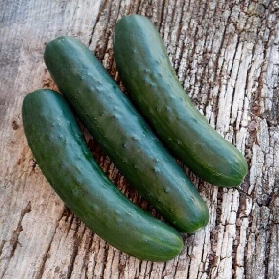 Cucumber Seeds – Marketmore 