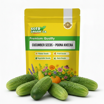 Cucumber Seeds – Poona Kheera