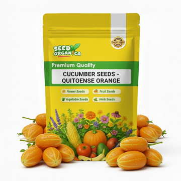 Cucumber Seeds – Quitoense Orange