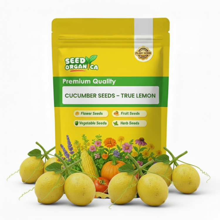 Cucumber Seeds – True Lemon