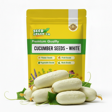 Cucumber Seeds – White