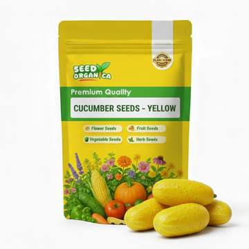 Cucumber Seeds – Yellow