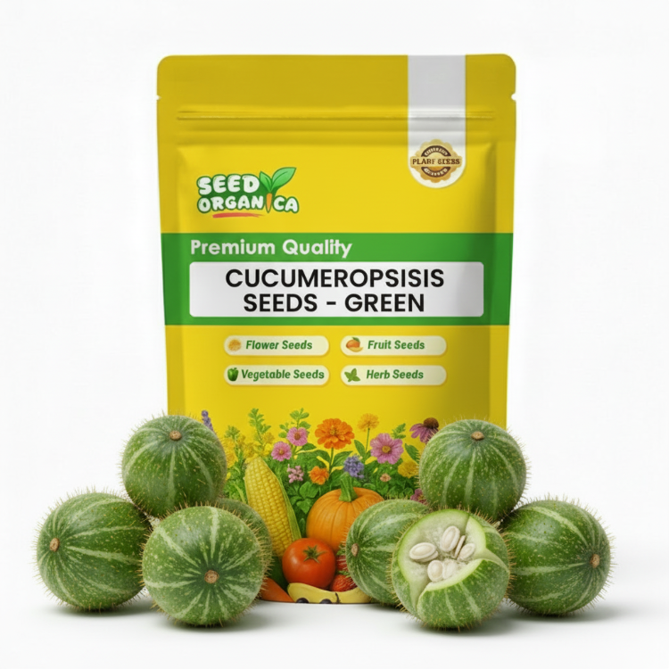 Cucumeropsis Seeds - Green