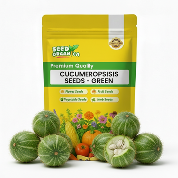 Cucumeropsis Seeds - Green