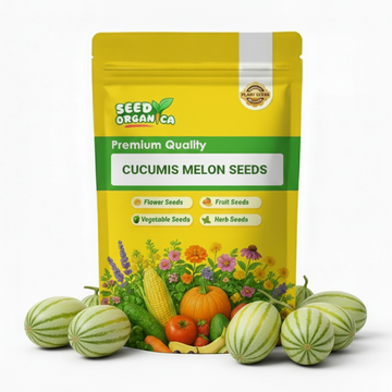 Cucumis Melon Seeds
