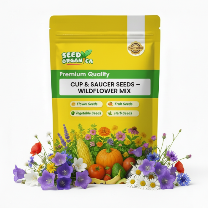 Cup & Saucer Seeds – Wildflower Mix