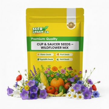 Cup & Saucer Seeds – Wildflower Mix