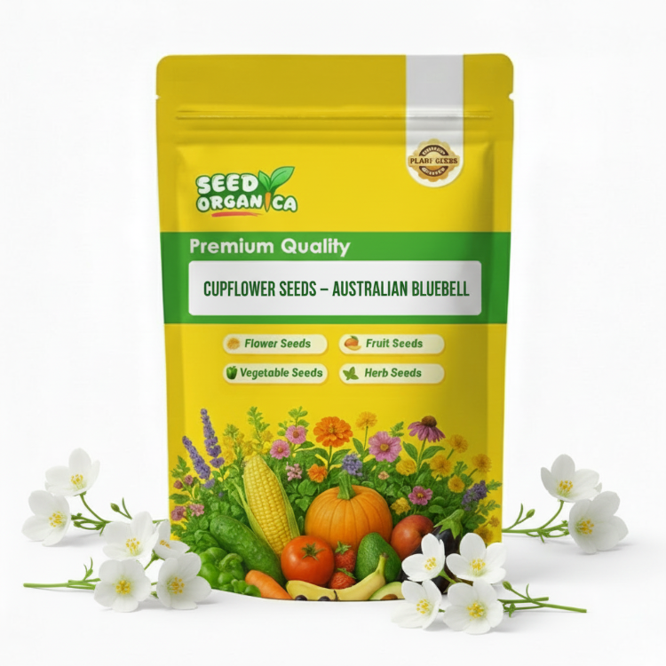 Cupflower Seeds – Australian Bluebell