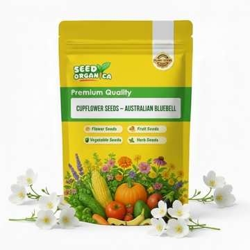 Cupflower Seeds – Australian Bluebell