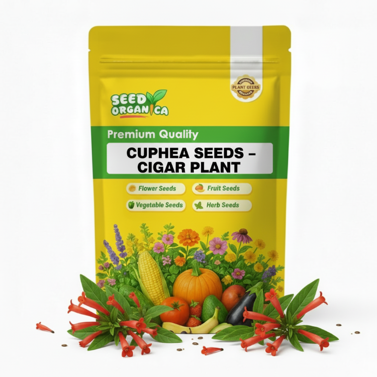 Cuphea Seeds – Cigar Plant
