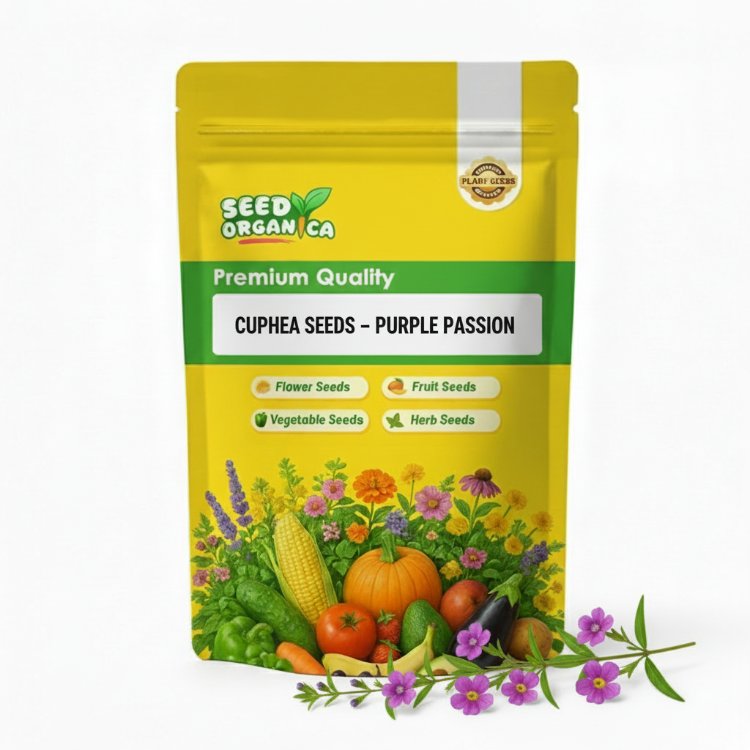 Cuphea Seeds – Purple Passion