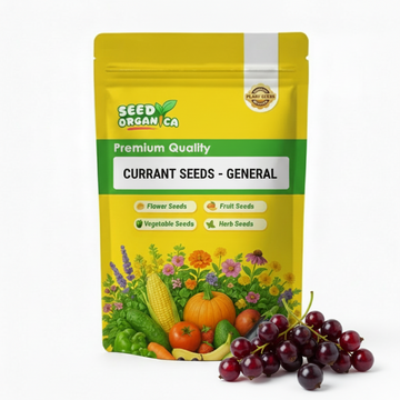 Currant Seeds - General