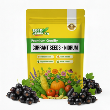 Currant Seeds - Nigrum