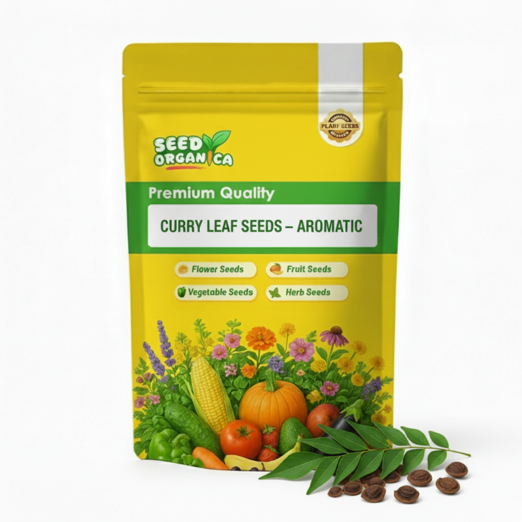 Curry Leaf Seeds – Aromatic