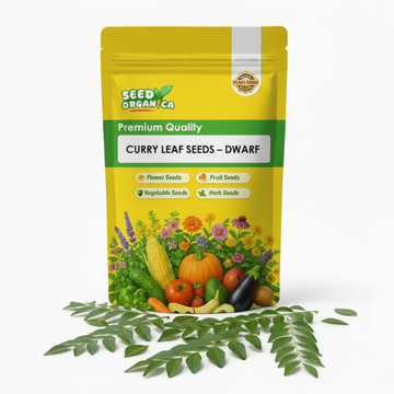Curry Leaf Seeds – Dwarf