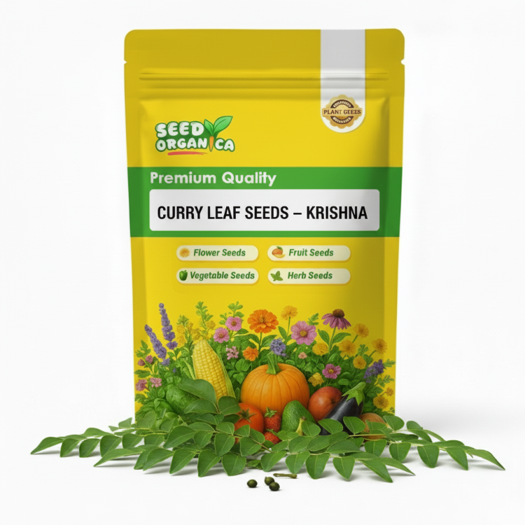 Curry Leaf Seeds – Krishna