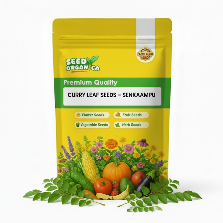 Curry Leaf Seeds – Senkaampu