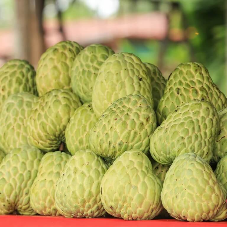 Custard Apple Seeds - All In One For Home Gardens