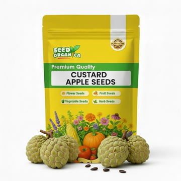Custard Apple Seeds