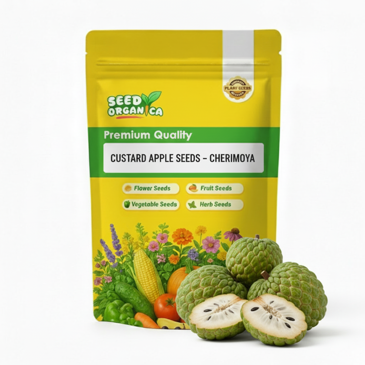 Custard Apple Seeds – Cherimoya