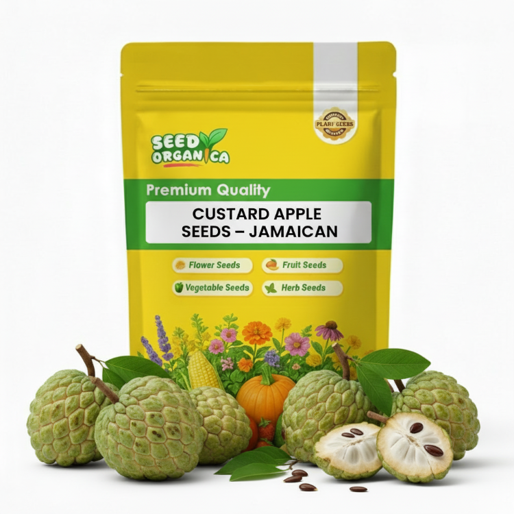 Custard Apple Seeds – Jamaican