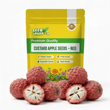 Custard Apple Seeds – Red