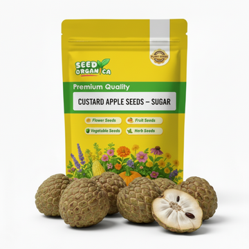 Custard Apple  Seeds – Sugar
