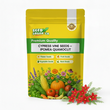 Cypress Vine Seeds – Ipomea Quamoclit