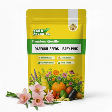 Daffodil Seeds – Baby Pink