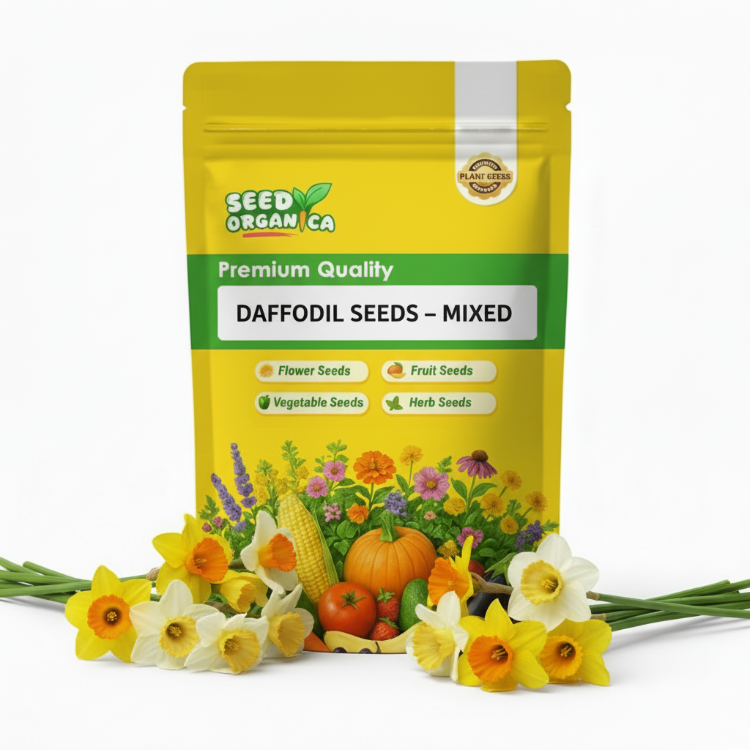 Daffodil Seeds – Mixed