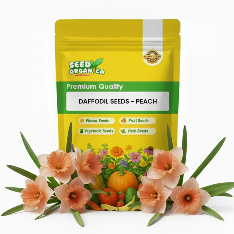 Daffodil Seeds – Peach