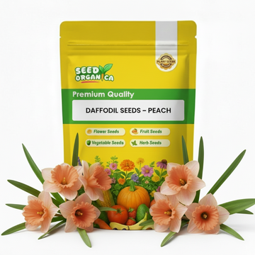 Daffodil Seeds – Peach
