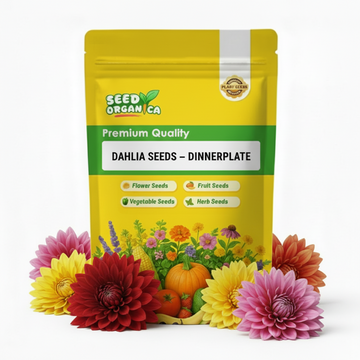 Dahlia Seeds – Dinnerplate