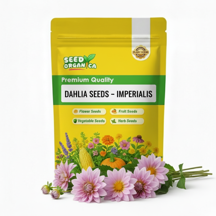 Dahlia Seeds – Imperialis