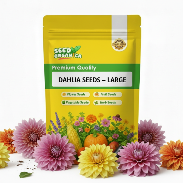 Dahlia Seeds – Large