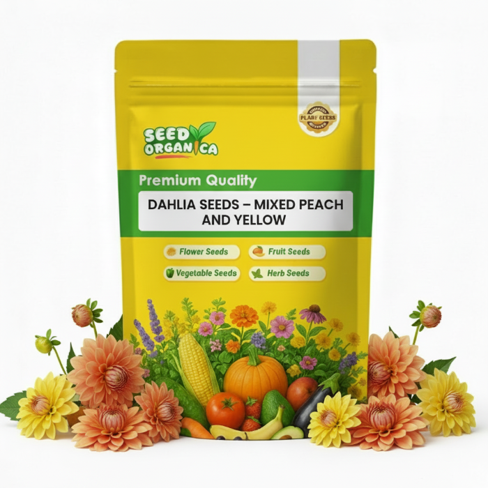 Dahlia Seeds – Mixed Peach and Yellow