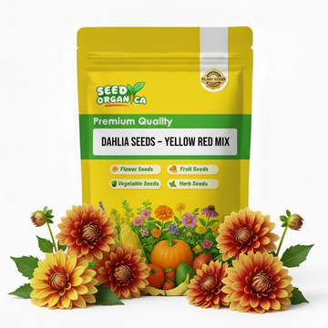 Dahlia Seeds – Yellow Red Mix