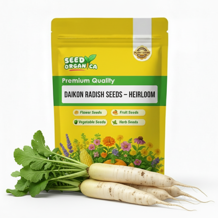 Daikon Radish Seeds – Heirloom