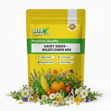 Daisy Seeds – Wildflower Mix