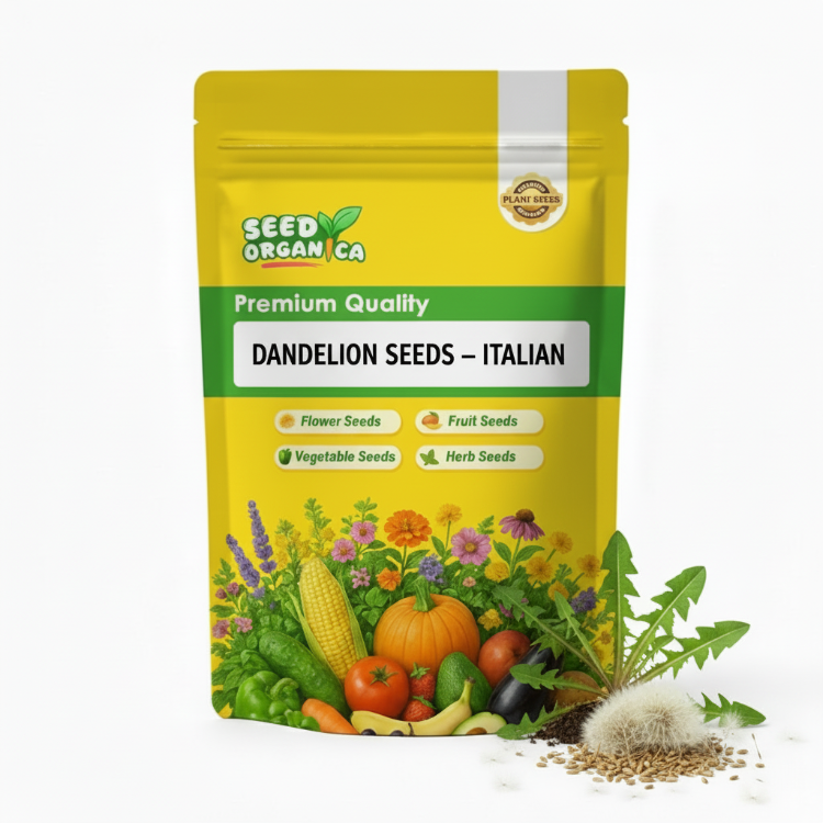 Dandelion Seeds – Italian