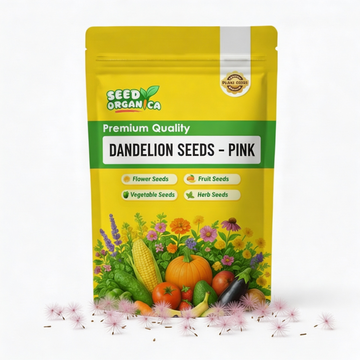 Dandelion Seeds – Pink