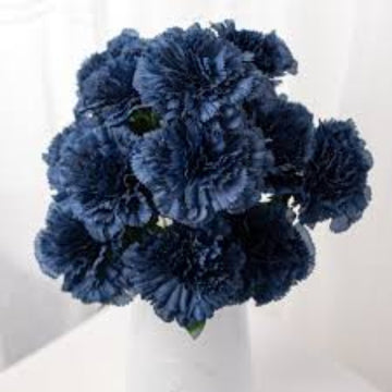 Dark Blue Carnation Seeds