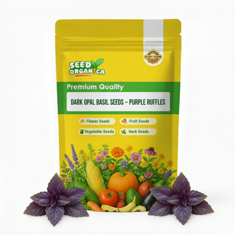 Dark Opal Basil Seeds – Purple Ruffles