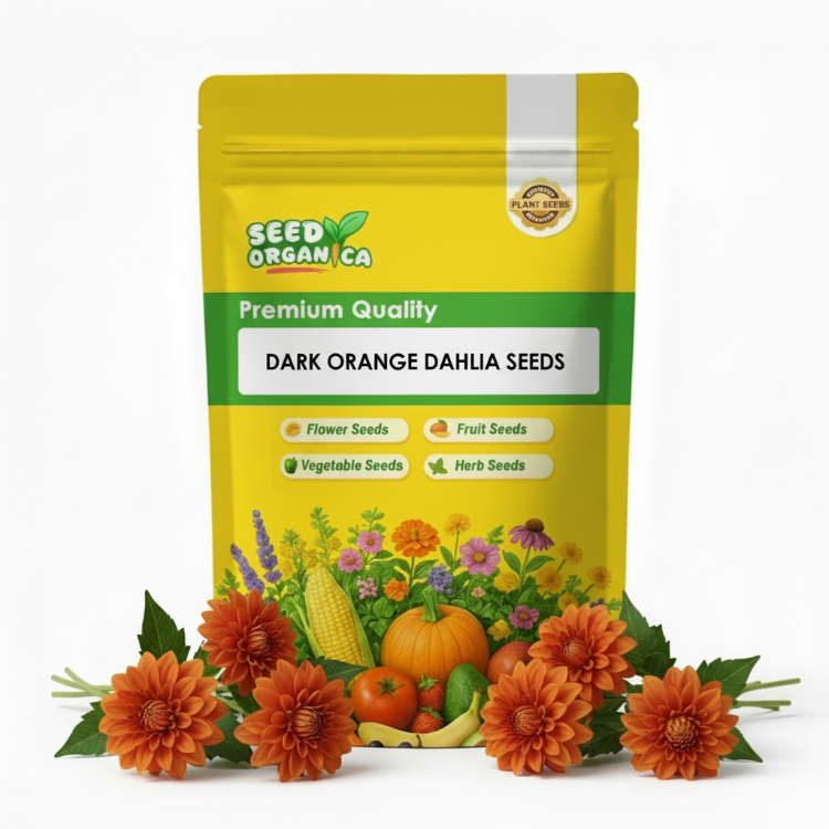 Dark Orange Dahlia Seeds
