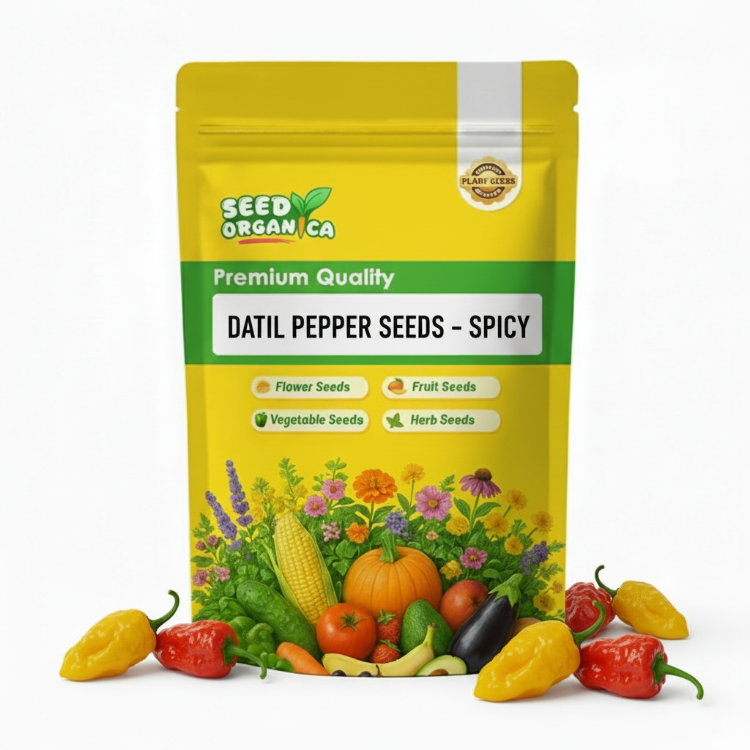 Datil Pepper Seeds – Spicy
