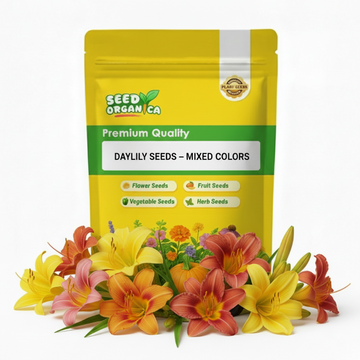 Daylily Seeds – Mixed Colors