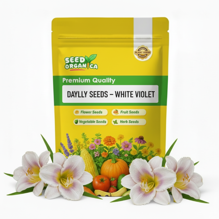 Daylily Seeds – White Violet